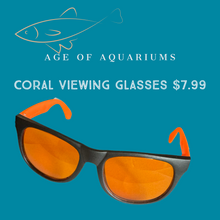 Load image into Gallery viewer, Coral Glasses by Sea Dwelling Creatures