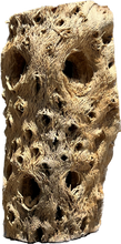 Load image into Gallery viewer, Cholla Wood Tunnel