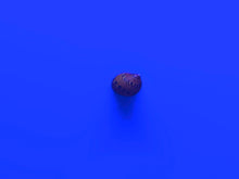 Load image into Gallery viewer, Red Onion Nerite Snail