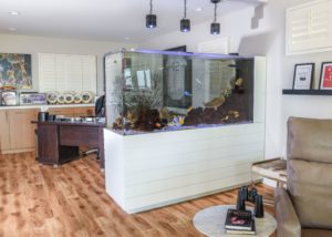 Aquarium on white wall stand with desk and cabinets behind it