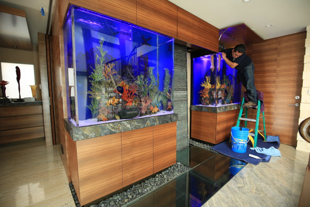 Wall aquarium with a hallway walk through and a person performing maintenance