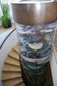 Cylindrical aquarium with a spiral staircase