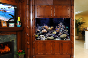 Aquarium in cherry wood casing next to a fireplace