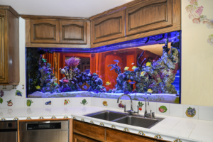 Aquarium installed above sink on diagonal wall with mock shelving above the aquarium